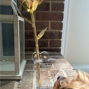 Gold Rose with Heart-Shaped Stand